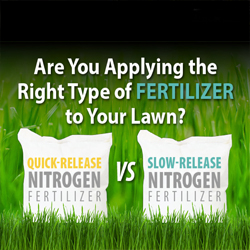 Fertilization Programs sm